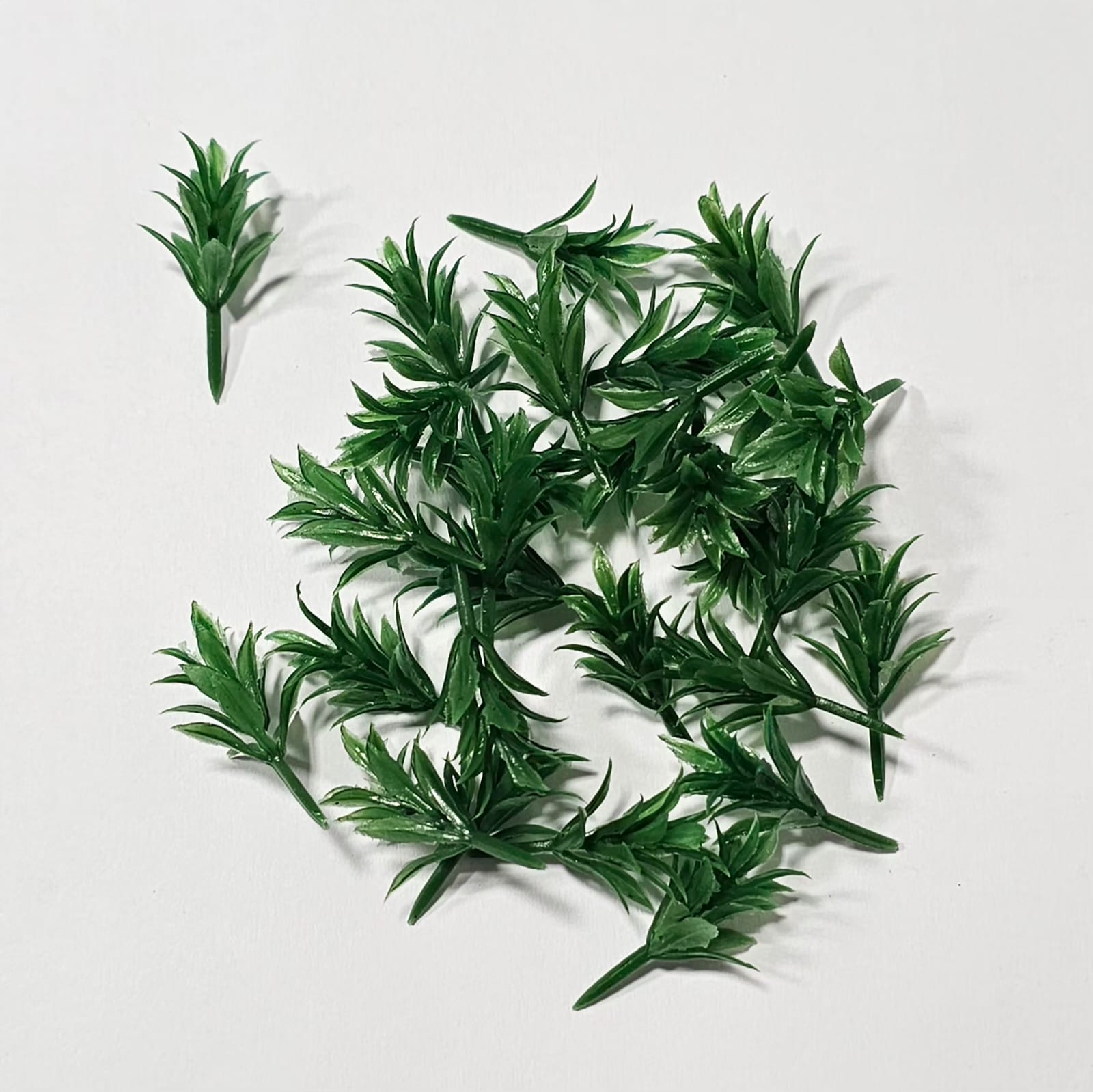 WhatsApp Image 2026-03-30 at 1.43.52 PM