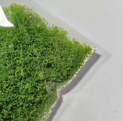 Plastic Powder ~ Light Green (500 Gram Per Pack)