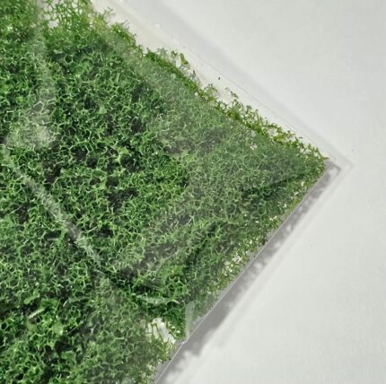 Plastic Powder ~ Mid Green (500 Gram Per Pack)